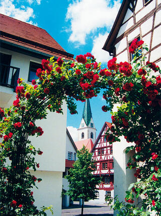 Allgemeines Baugenossenschaft Bad Saulgau